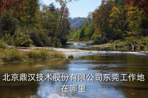 鼎漢技術主要做什么，北京鼎漢技術股份有限公司東莞工作地在哪里