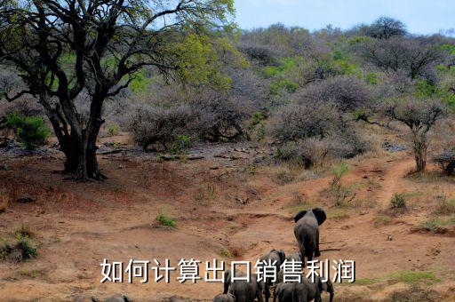如何計(jì)算出口銷售利潤