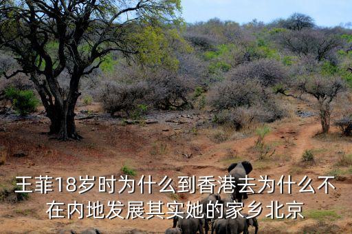 王虹為什么去香港，為啥歷屆的中國宇航員都要去香港走一圈奧運(yùn)金牌得主也要去為啥