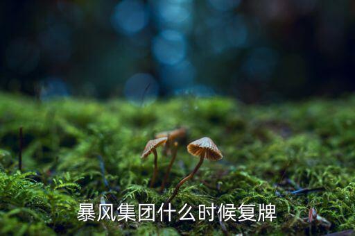 暴風(fēng)集團(tuán)什么時候復(fù)牌