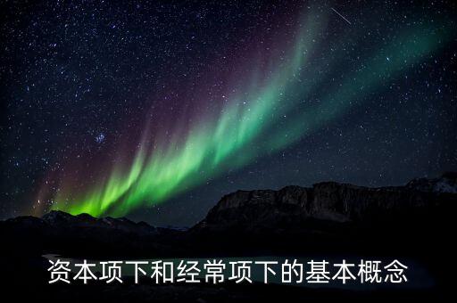 資本項下和經(jīng)常項下的基本概念