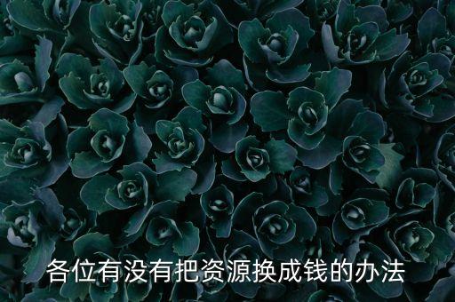 通過(guò)什么將資源轉(zhuǎn)化為財(cái)富，各位有沒(méi)有把資源換成錢的辦法