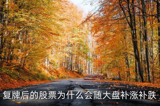 股票復(fù)牌為什么會補跌，復(fù)牌后的股票為什么會隨大盤補漲補跌