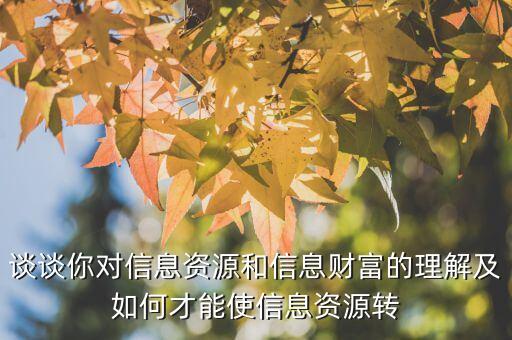 談談你對信息資源和信息財富的理解及如何才能使信息資源轉