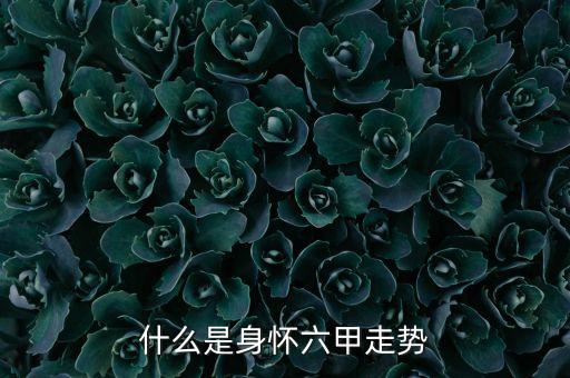 什么是身懷六甲走勢，什么是身懷六甲行情