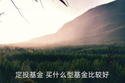 定投基金買什么最好，定投什么基金好