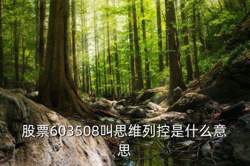 思維列控是做什么的，新股思維列控603508發(fā)行價是多少