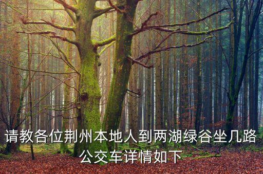 請(qǐng)教各位荊州本地人到兩湖綠谷坐幾路公交車(chē)詳情如下