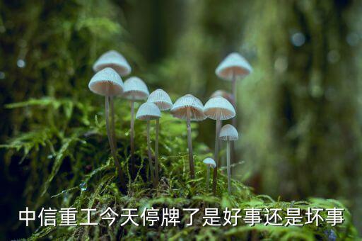 中信重工什么時候復(fù)牌，中信重工今天停牌了是好事還是壞事
