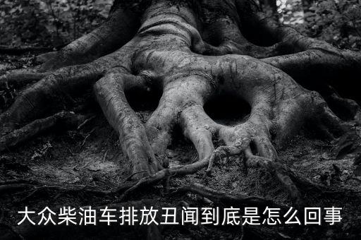 大眾柴油車(chē)排放丑聞到底是怎么回事
