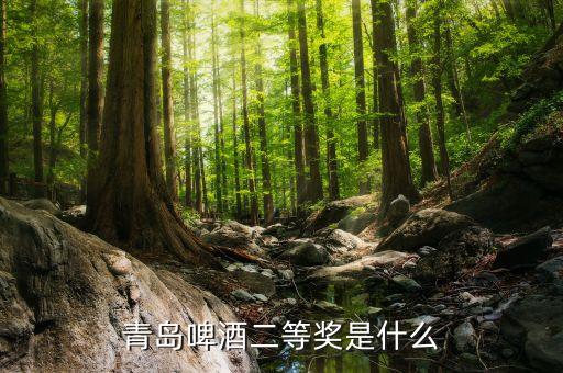 青島啤酒2等獎是什么，請問昨天喝了一瓶青島啤酒上面寫了2等獎是什么意思獎品是什么