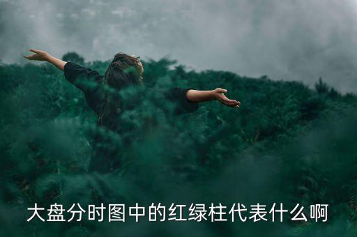 大盤分時(shí)線隨近的柱代表什么，股票分時(shí)圖下面黃藍(lán)白柱各表示什么