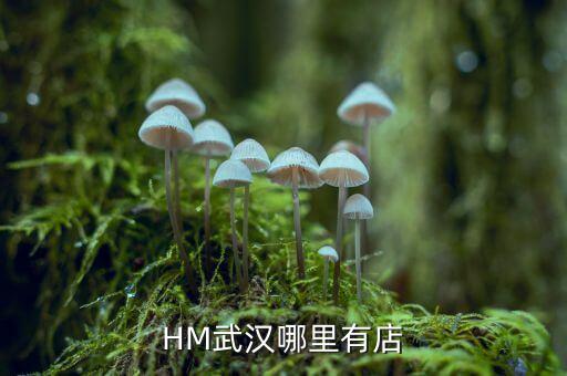 武漢禧h酒店什么時間開業(yè)，武漢哪里有快開張的酒店
