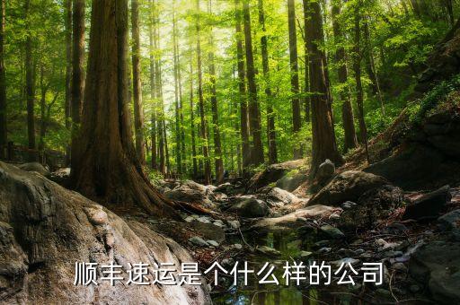 順豐速運(yùn)算什么企業(yè)，順豐快遞是國(guó)企還是私企