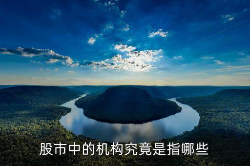 股票中的機構(gòu)指什么，股市里的機構(gòu)指的是什么