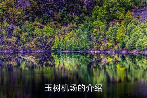 什么是高高原機(jī)場(chǎng)，高原機(jī)場(chǎng)的相關(guān)法規(guī)