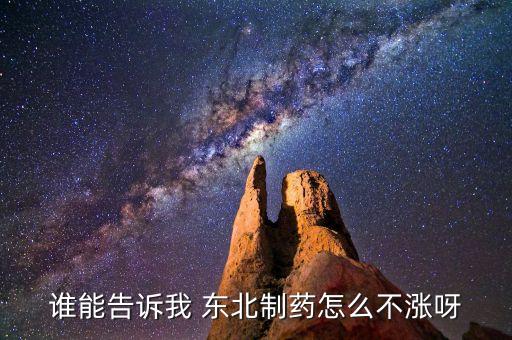東北制藥為什么不漲，002251為什么不漲是不是公司出問題了