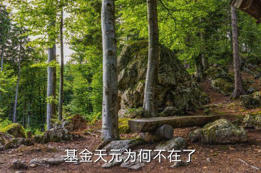 基金天元為什么停牌，基金天元為何不在了