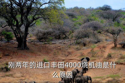 剛兩年的進(jìn)口豐田4000燒機油是什么原因