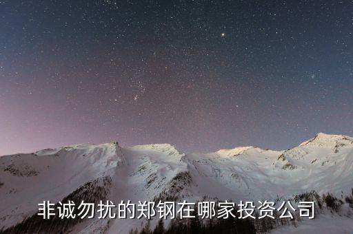 鄭鋼的投資公司是什么，南大鄭鋼投資什么發(fā)的財