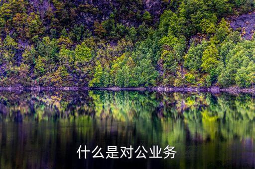 滴滴對(duì)公業(yè)務(wù)是什么，什么是對(duì)公業(yè)務(wù)