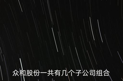 眾和股份收購(gòu)什么資產(chǎn)，眾和股份一共有幾個(gè)子公司組合