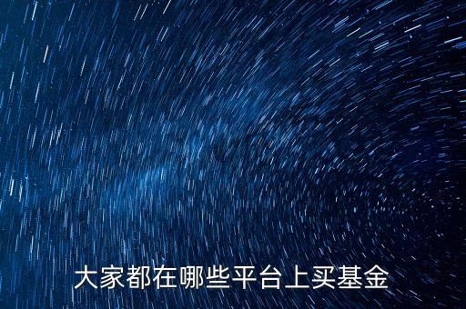 大家都在哪些平臺上買基金