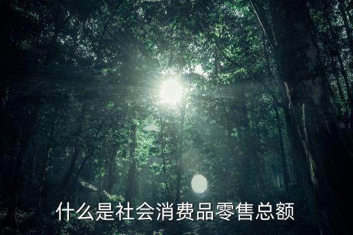 什么是社會(huì)消費(fèi)品零售總額