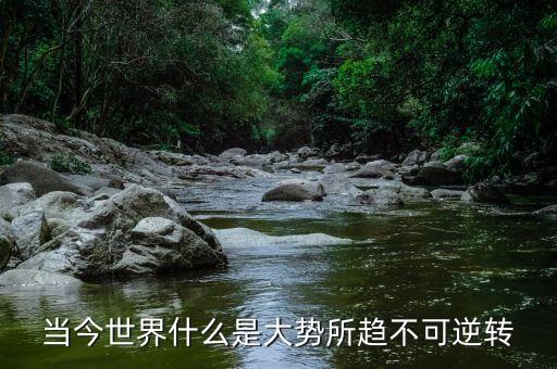 當(dāng)今世界什么是大勢(shì)所趨不可逆轉(zhuǎn)