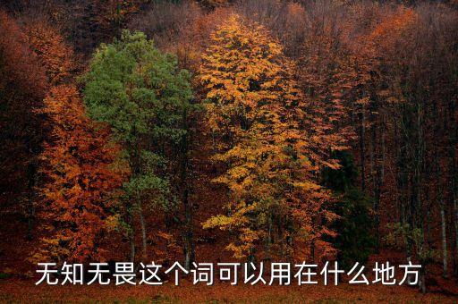 無知無畏這個詞可以用在什么地方