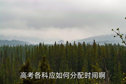 高考各科應(yīng)如何分配時(shí)間啊