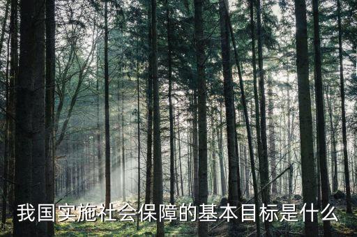 我國實(shí)施社會(huì)保障的基本目標(biāo)是什么