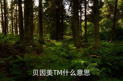 貝因美尾盤1多手什么意思，貝因美TM什么意思