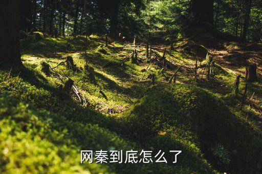 網秦到底怎么了