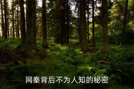 網秦背后不為人知的秘密