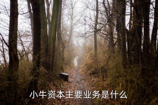 小牛資本5大銷售流程是什么，小牛資本主要業(yè)務(wù)是什么