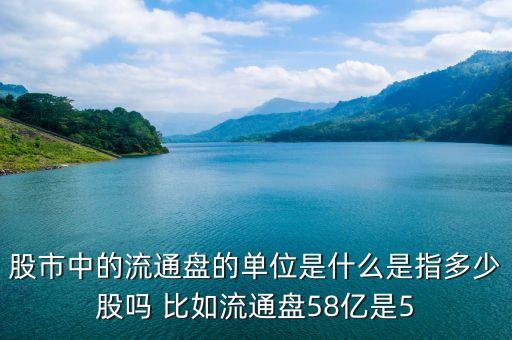 股市中的流通盤的單位是什么是指多少股嗎 比如流通盤58億是5