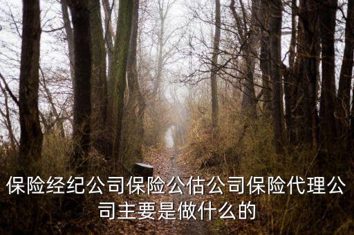 保險經(jīng)紀(jì)公司保險公估公司保險代理公司主要是做什么的