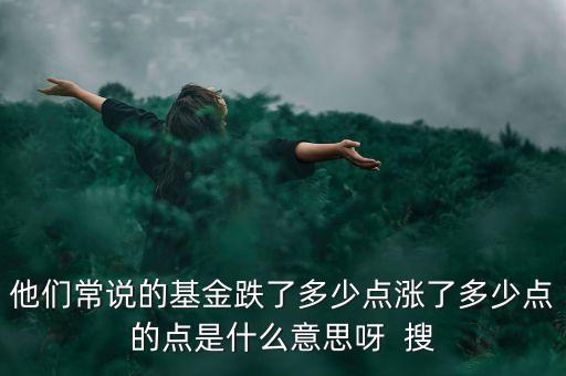 基金降了幾個點什么意思，基金止跌百分之五是什么意思