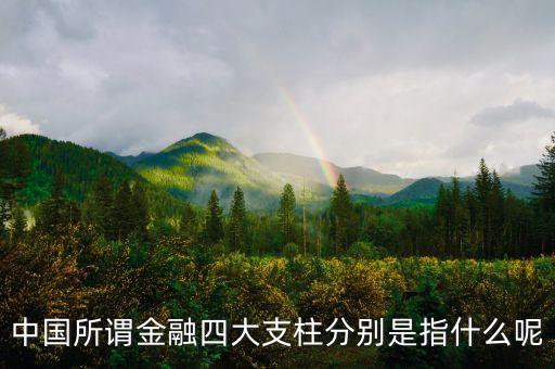 金融四大是什么，中國(guó)所謂金融四大支柱分別是指什么呢