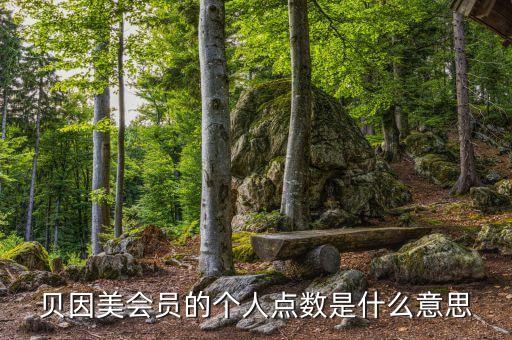 貝因美會員的個(gè)人點(diǎn)數(shù)是什么意思