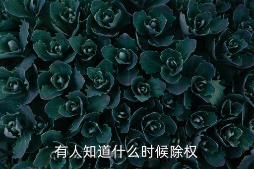 貴州百靈什么時候除權(quán)，除權(quán)日期是什么時候