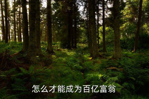 拿什么沖百億，怎么才能成為百億富翁