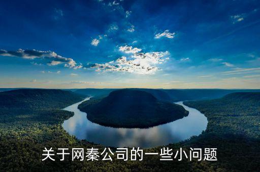 網(wǎng)秦為什么更換獨立審計，網(wǎng)秦到底怎么了