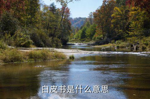 產(chǎn)品白皮書是什么意思，產(chǎn)品白皮書的文檔意義