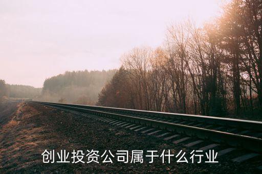 創(chuàng)業(yè)投資公司屬于什么行業(yè)，投資開發(fā)屬于什么行業(yè)