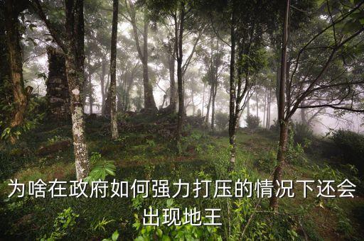 2016年為什么地王頻出，地王頻現(xiàn)傳遞什么信號(hào)