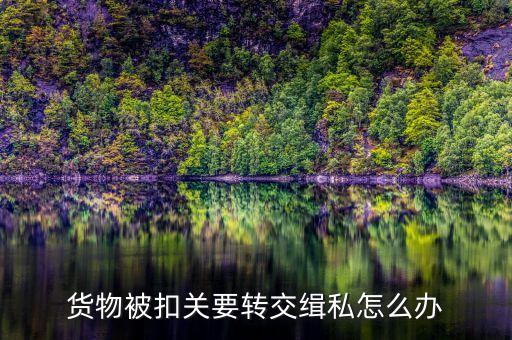 集裝箱被扣緝私需要辦什么手續(xù)，貨物被扣關(guān)要轉(zhuǎn)交緝私怎么辦