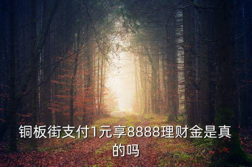 銅板街理財金是什么，銅板街理財金有什么用