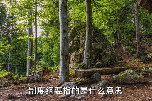 什么是公司綱要，制度綱要指的是什么意思